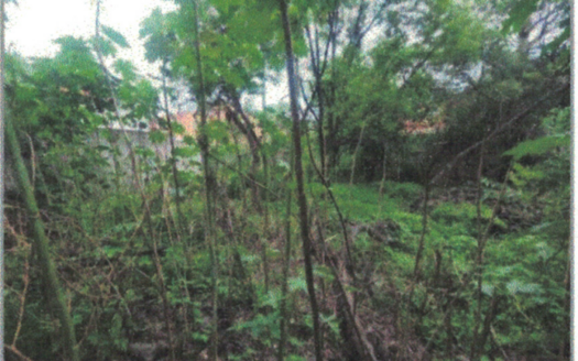 Terreno en Venta La Noria, Xochimilco, Ciudad de Mexico